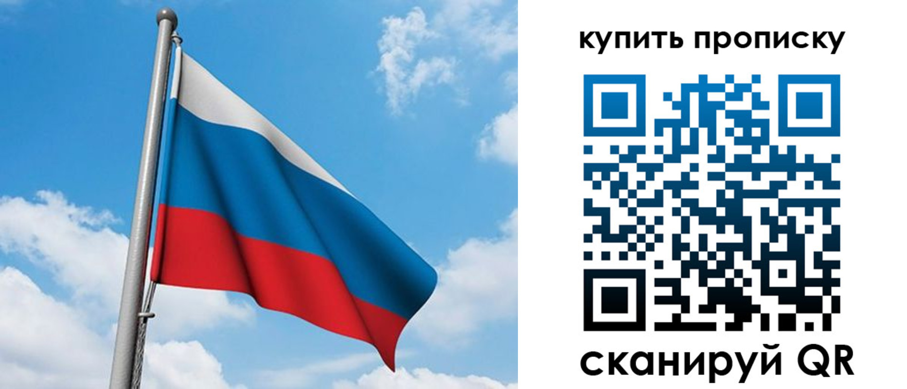 прописка законно в Тимашёвске